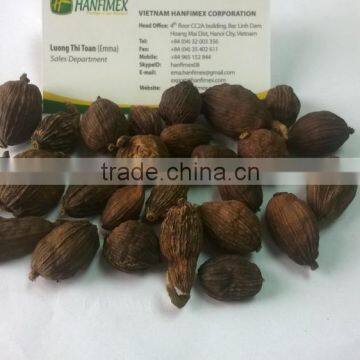 Vietnam Black Cardamom GOOD QUALITY for buyers (website: hanfimex08)