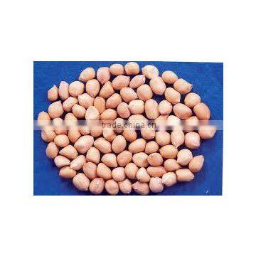 Peanut With Shell photo-4