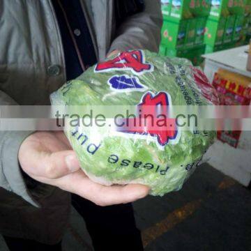 Fresh Lettuce photo-4