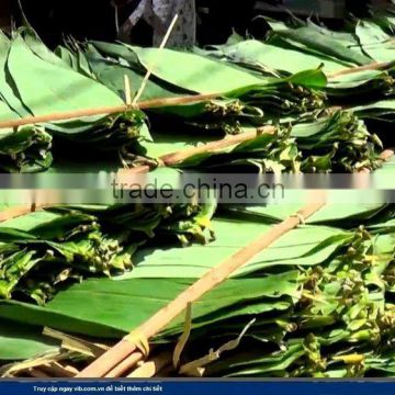 Bamboo leaves