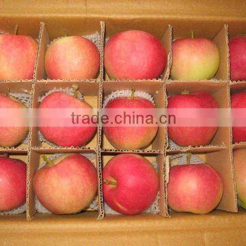 Fresh red gala apple packed in 18 kilo/cartons