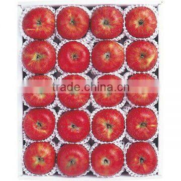 Fresh red fuji apple-- grade A/B/C