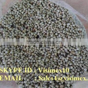 WHITE PEPPER WP600, WP630 G/L FROM VIETNAM 100% ORIGIN