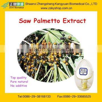 Saw Palmetto Extract, Fatty Acid from GMP professional manufacturer