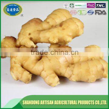 Buyer of ginger,wholesale ginger