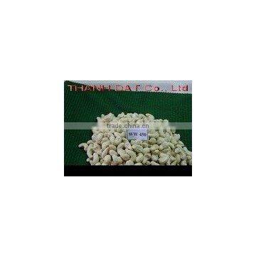 Fresh Vietnamese Cashew Kernels