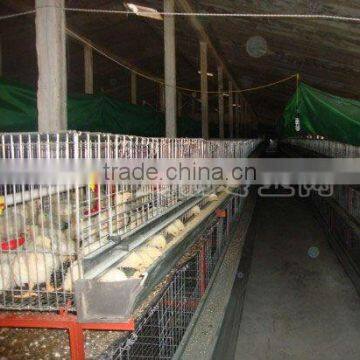 galvanized chicken breeding cage for Nigeria