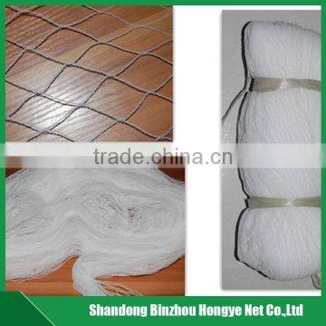 HDPE anti-bird net in agriculture,agricultural bird netting