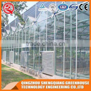 Agriculture Hollow Tempered Glass Greenhouse Hot Galvanized Steel Frame photo-4