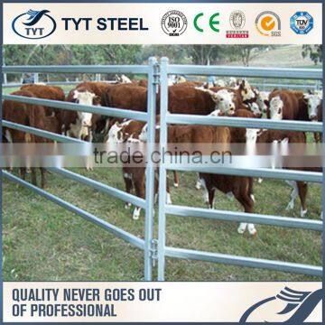 steel tubing corral panels used as round pen cattle farm guard field fence