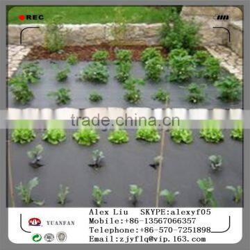 50gsm Black PP Non Woven Fabric Used in Weed Mat Landscape Fabric photo-3