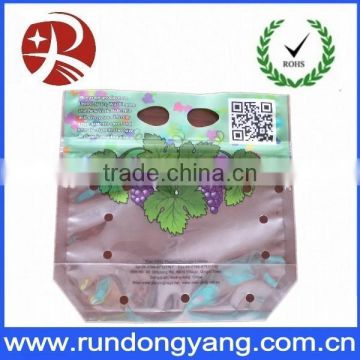 Slider Zipper Fruit Grape Bag