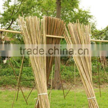 Best Selling High Quality Natural Bamboo Pole From Vietnam