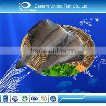 export arrow tooth flounder fish