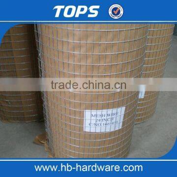 Galvanized Welded Wire Mesh for Fence Panel photo-2