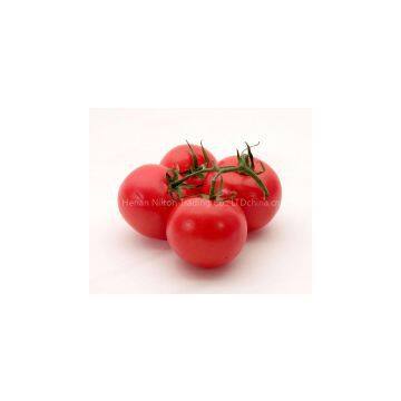 Ah, Tomato Paste Ketchup