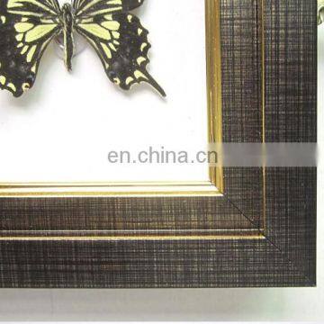 Butterfly Collection Frame for Home Decoration Use photo-4