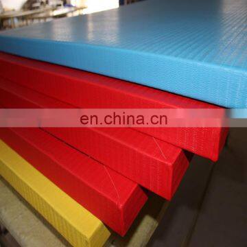 Non-toxic Exercise BJJ Judo Pu Sponge Mat