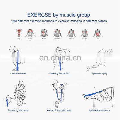 Custom Logo TPE Latex Yoga Gym Exercise Booty Hip Fitness Accessories Resistance Exercise Bands photo-5