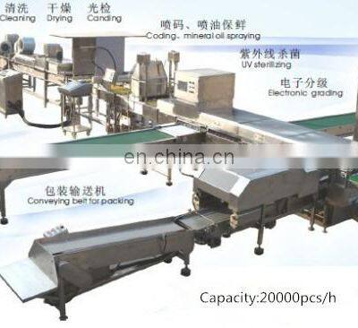Full Automatic Egg Cleaning and Sorting Packing Line Production Line Processing Line photo-5