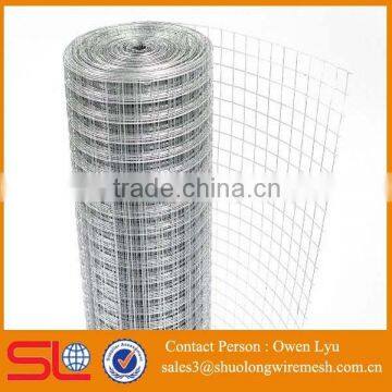 Very Popular in UK Market Hot Galvanized Aviary Wire Mesh (ISO Factory )