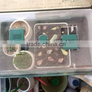 plant propagation seed tray/plant growing trays