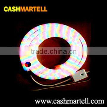 Wholesale Waterproof Led Neon Lighting photo-2