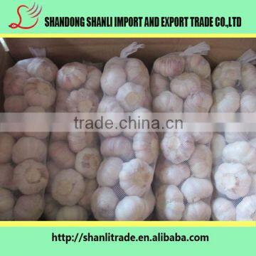 Pure White Wholesale Natural Garlic/garlic Powder/fresh Garlic Chinese photo-3
