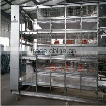 Broiler Farm for Broiler Feed Rearing photo-2