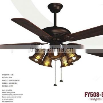 Ceilng Lamp Fans