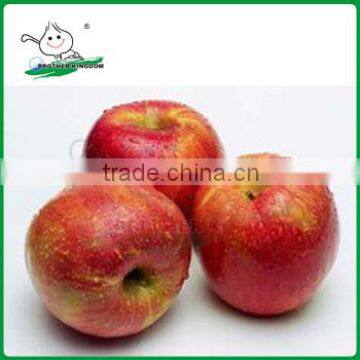 Qinguan Apples/Fresh Qinguan Apples/Delicious Qinguan Apples