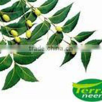 Natural Neem Oil in Bulk supply