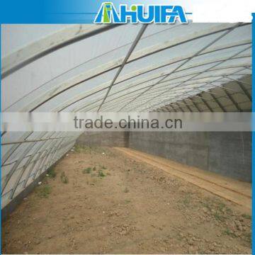 Agricultural Solar Green House For Tomatoes photo-2