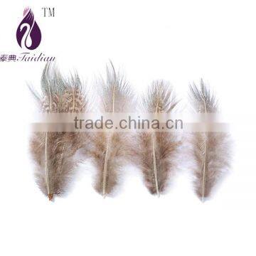 raw pheasant feathers plume for jewelry accesory craft