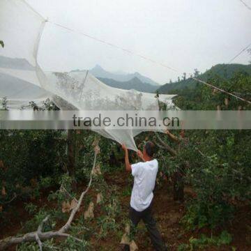 Farming anti-hail net/windbreak net (45g-120g anti-hail net)