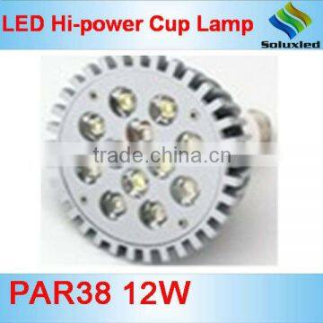 Hi-Power LED Spot light PAR38,12X1W