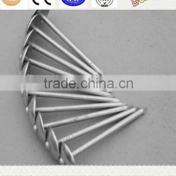 umbrella head roofing nails for asphalt shingles with smooth shank