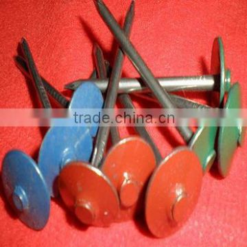 different treatment Galvanized Roofing Nails