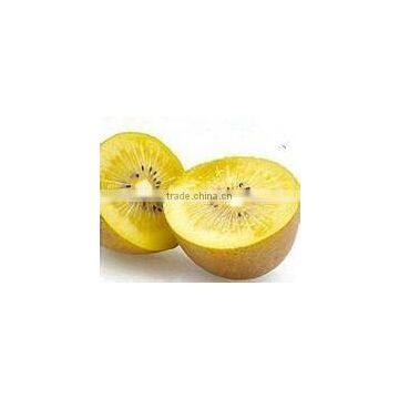 Kiwi Fruit photo-5