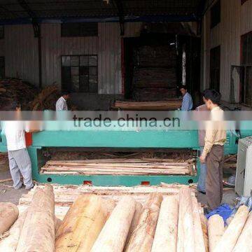 Modular machine tool Plywood veneer rotary cutting machine