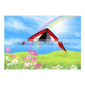 Dual Line Delta Stunt Kites - Curved Edge Kites