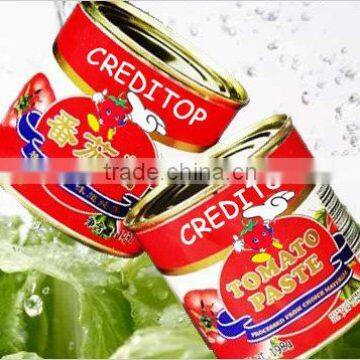 3KG High Quality Manufactory China Factory Canned Tomato Paste photo-2