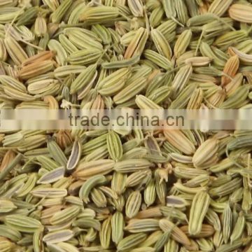 2012 crop Fennel seeds