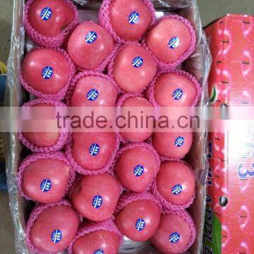 2016 China Red Honey Fuji Apple photo-3