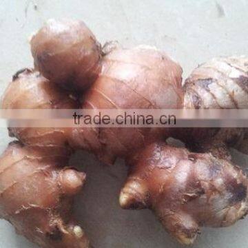 Fresh Ginger- 60g up