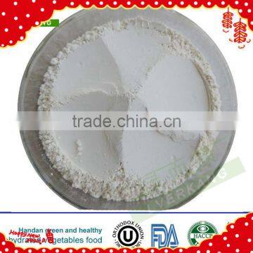 Top products hot selling new 2015 air dried white garlic powder spicy vegetable powder