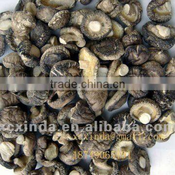 dried thick mushrooms