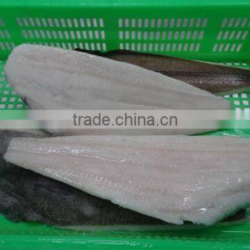 Wholesale Frozen Greenland Halibut Fish Fillet For Sale photo-3