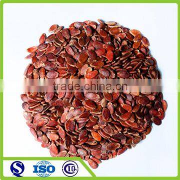 Hot sale Chinese melon seeds watermelon seed nut