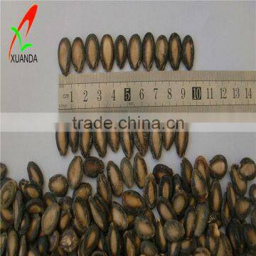 Chinese Watermelon Seeds